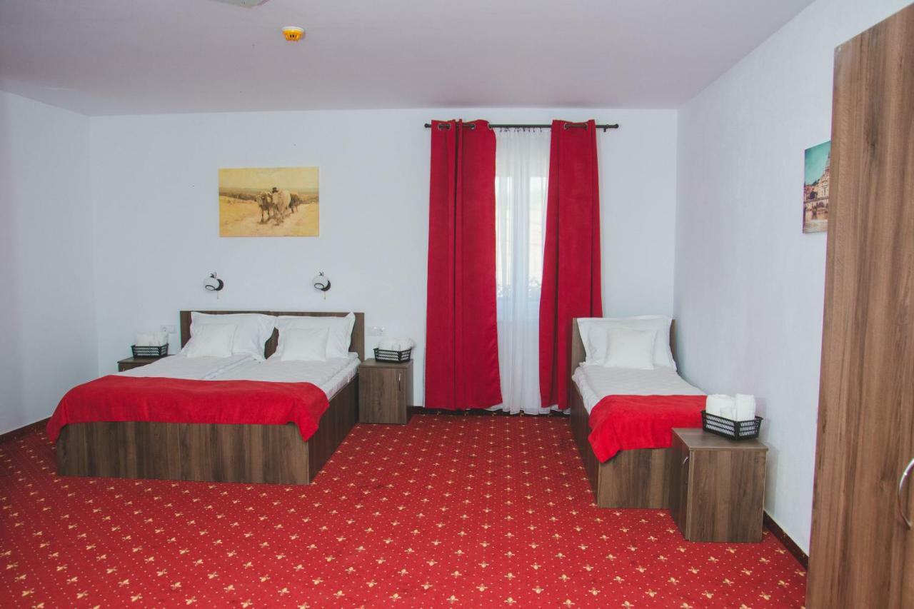 Pensiunea Iliada Sibiu Exterior foto
